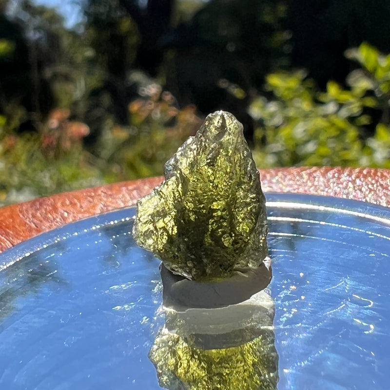 Moldavite 1.2 grams #1601-Moldavite Life