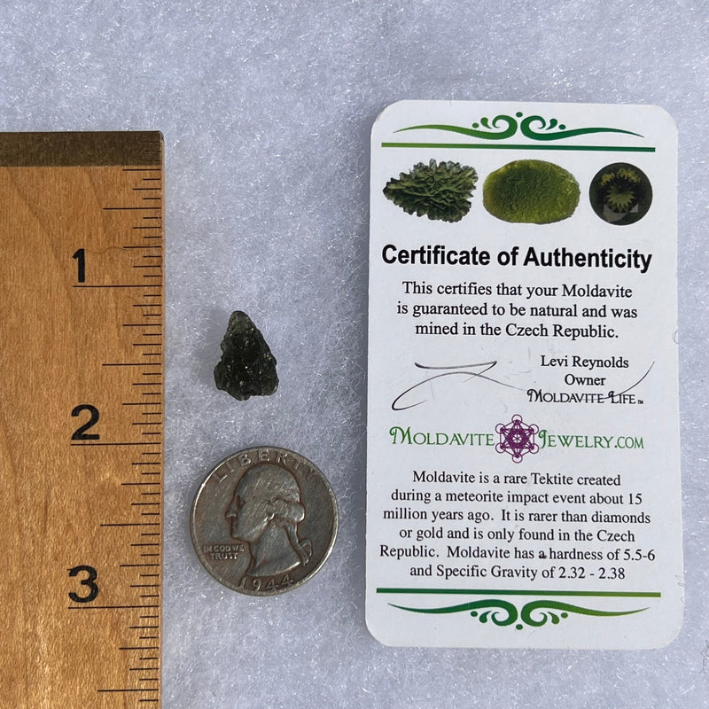 Moldavite 1.2 grams #1601-Moldavite Life