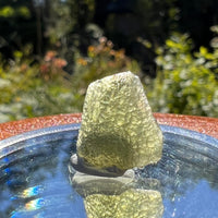 Moldavite 1.2 grams #1607-Moldavite Life