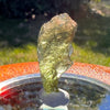 Moldavite 1.2 grams #1615-Moldavite Life