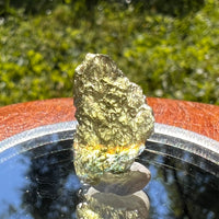 Moldavite 1.3 grams #1455-Moldavite Life