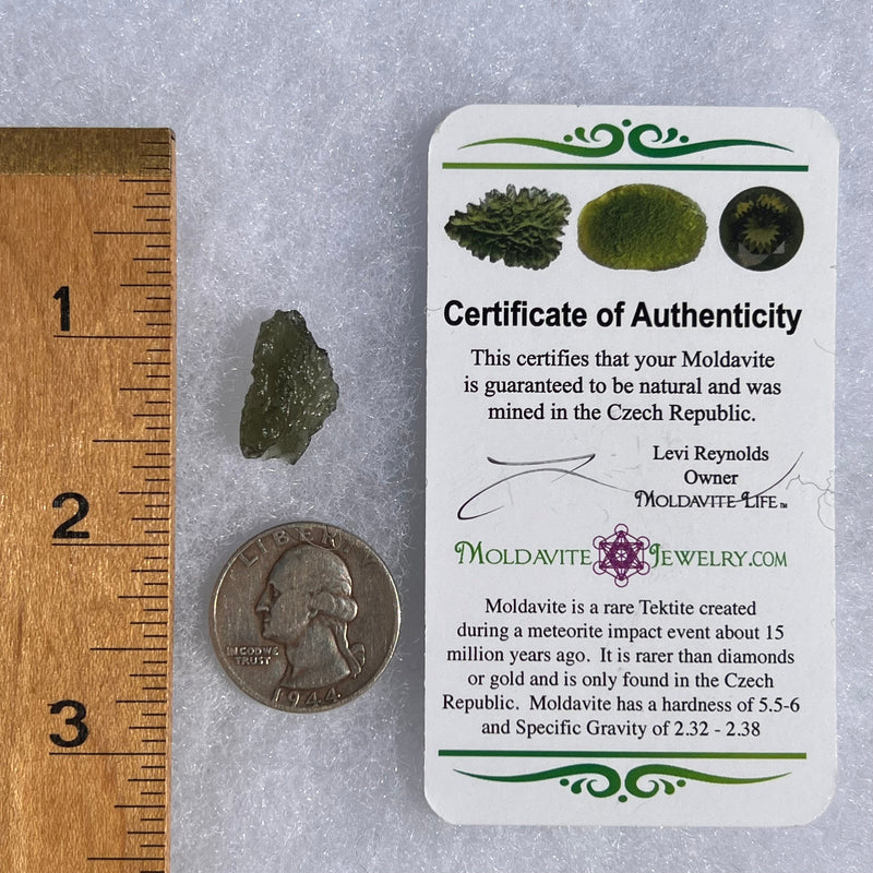 Moldavite 1.3 grams #1455-Moldavite Life