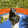 Moldavite 1.3 grams #1457-Moldavite Life