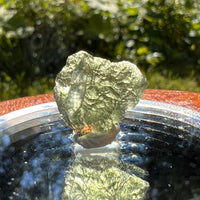 Moldavite 1.3 grams #1466-Moldavite Life