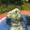 Moldavite 1.3 grams #1466-Moldavite Life