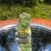 Moldavite 1.3 grams #1467-Moldavite Life