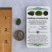 Moldavite 1.3 grams #1467-Moldavite Life