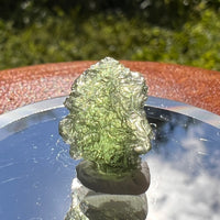 Moldavite 1.3 grams #1467-Moldavite Life