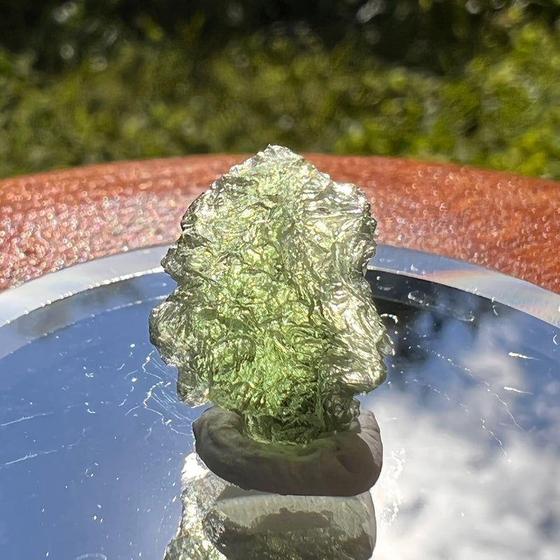 Moldavite 1.3 grams #1467-Moldavite Life