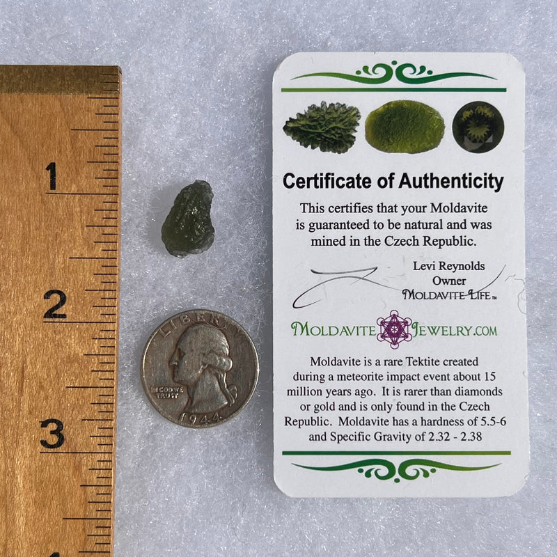 Moldavite 1.3 grams #1472-Moldavite Life