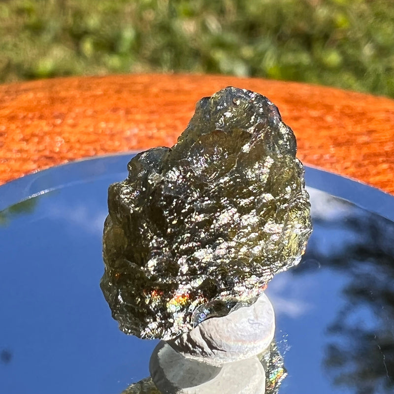 Moldavite 1.3 grams #1477-Moldavite Life