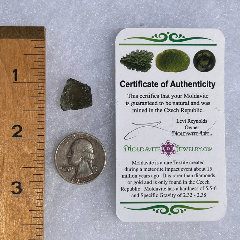 Moldavite 1.3 grams #1477-Moldavite Life