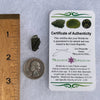 Moldavite 1.3 grams #1505-Moldavite Life