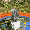 Moldavite 1.3 grams #1520-Moldavite Life