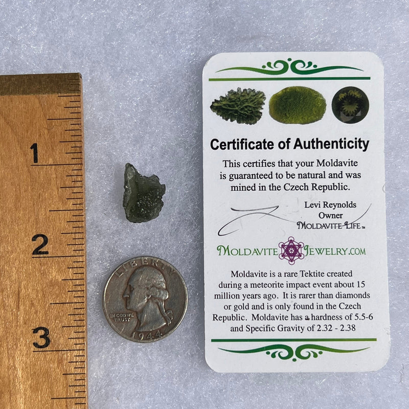 Moldavite 1.3 grams #1605-Moldavite Life