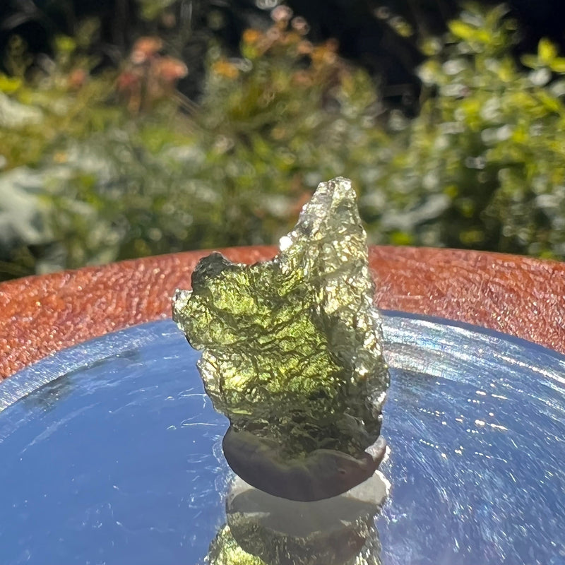 Moldavite 1.3 grams #1605-Moldavite Life