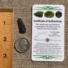 Moldavite 1.3 grams #1621-Moldavite Life