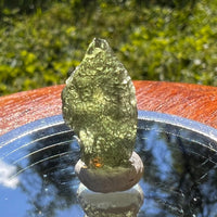 Moldavite 1.4 grams #1451-Moldavite Life