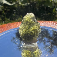Moldavite 1.4 grams #1459-Moldavite Life