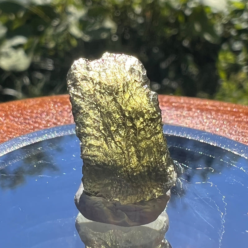 Moldavite 1.4 grams #1489-Moldavite Life