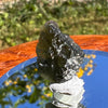 Moldavite 1.4 grams #1514-Moldavite Life