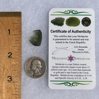 Moldavite 1.4 grams #1537-Moldavite Life