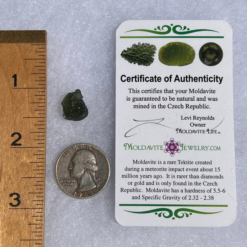 Moldavite 1.4 grams #1541-Moldavite Life