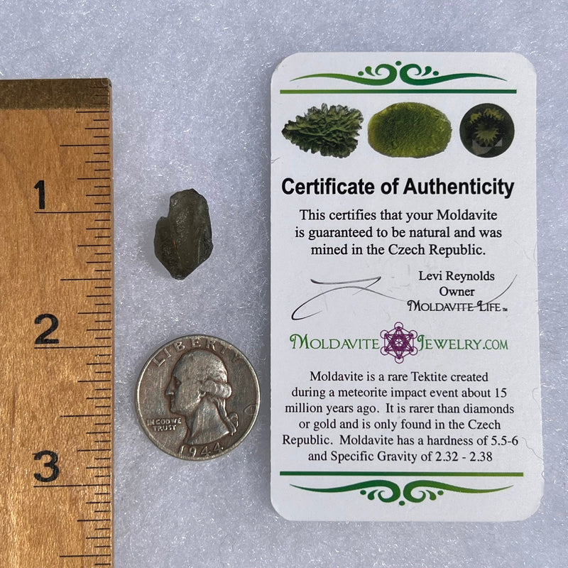 Moldavite 1.4 grams #1545-Moldavite Life