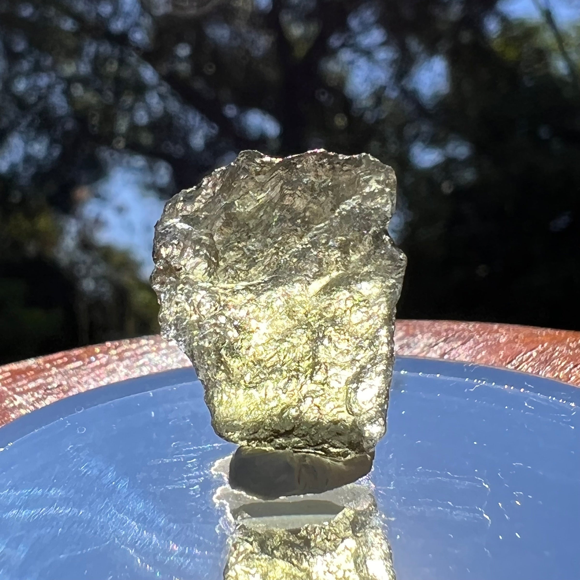 Moldavite 1.4 grams #1591-Moldavite Life