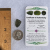 Moldavite 1.5 grams #1500-Moldavite Life