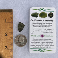 Moldavite 1.5 grams #1500-Moldavite Life