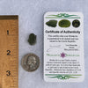 Moldavite 1.5 grams #1512-Moldavite Life