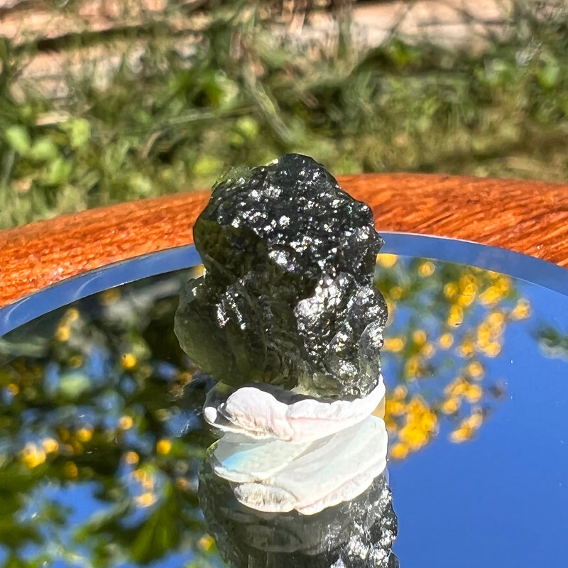 Moldavite 1.5 grams #1524-Moldavite Life