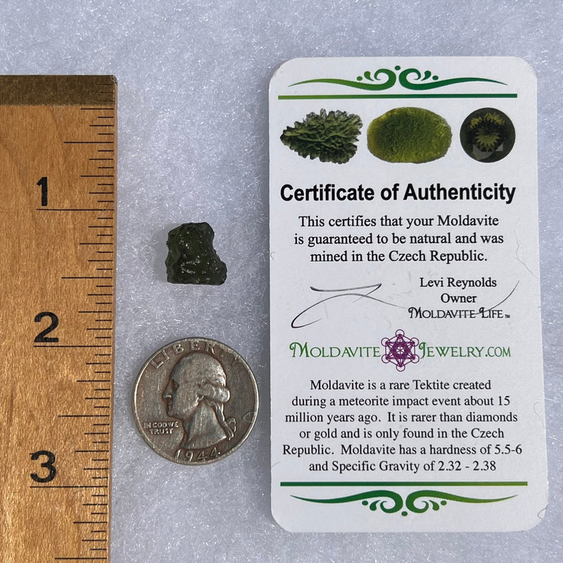 Moldavite 1.5 grams #1524-Moldavite Life