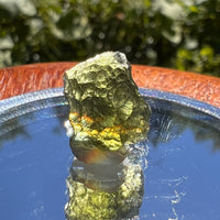 Moldavite 1.5 grams #1524-Moldavite Life