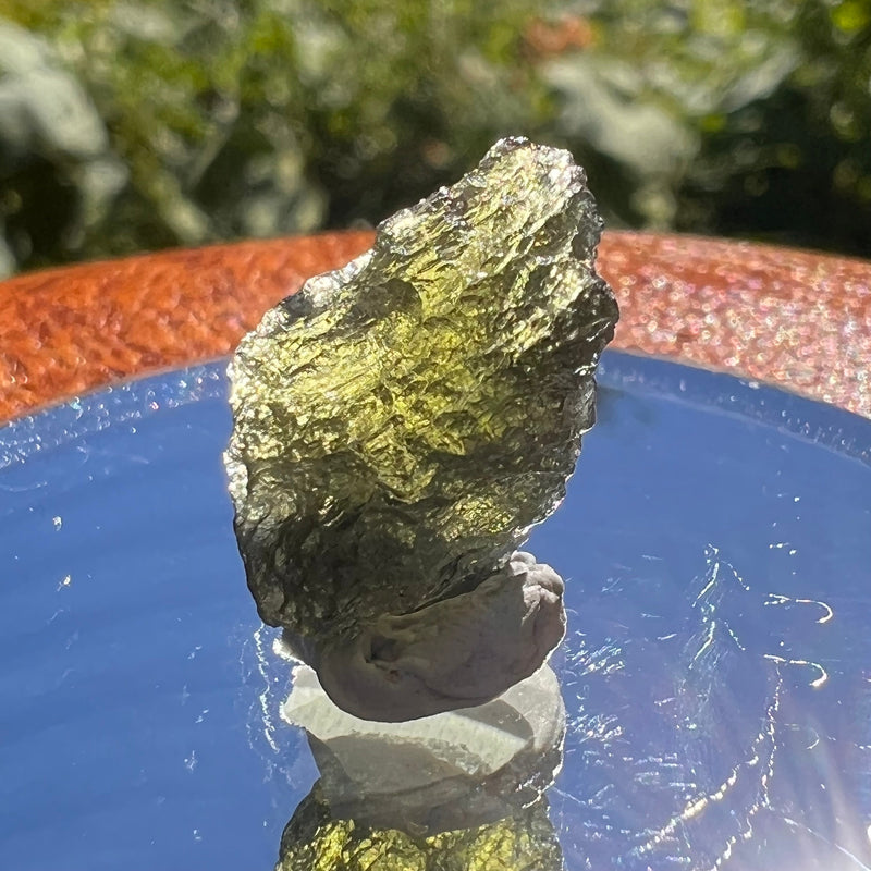 Moldavite 1.5 grams #1534-Moldavite Life