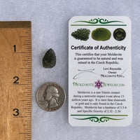 Moldavite 1.5 grams #1534-Moldavite Life