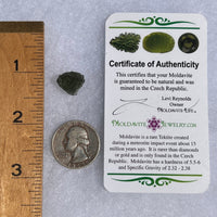 Moldavite 1.5 grams #1544-Moldavite Life