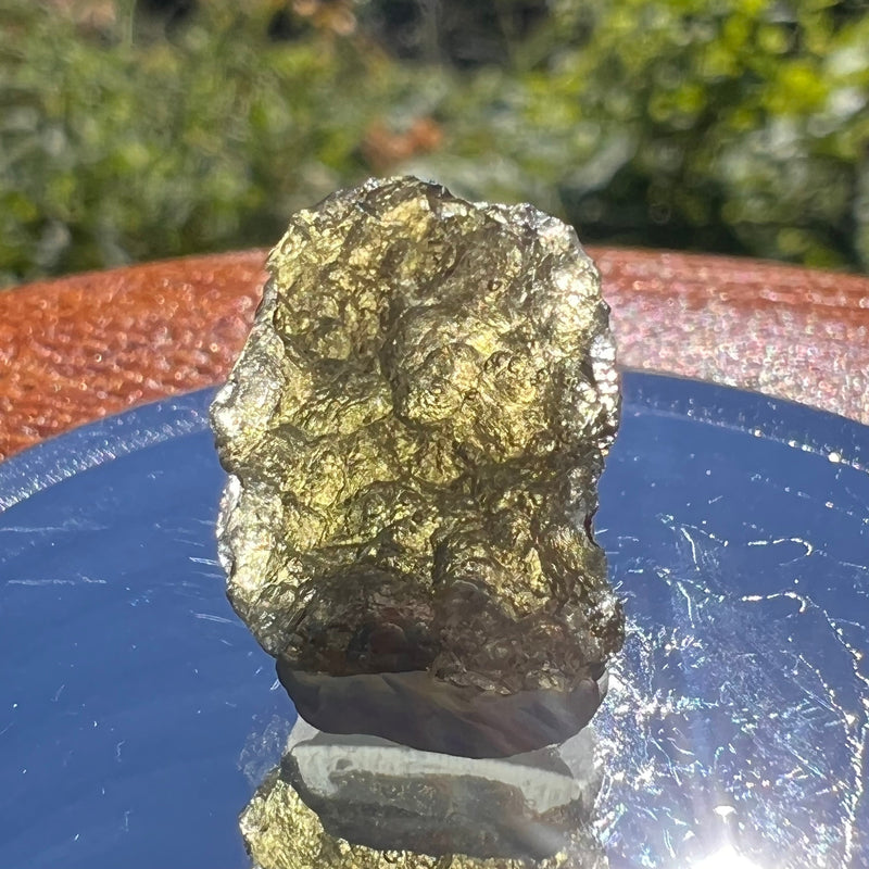 Moldavite 1.5 grams #1556-Moldavite Life