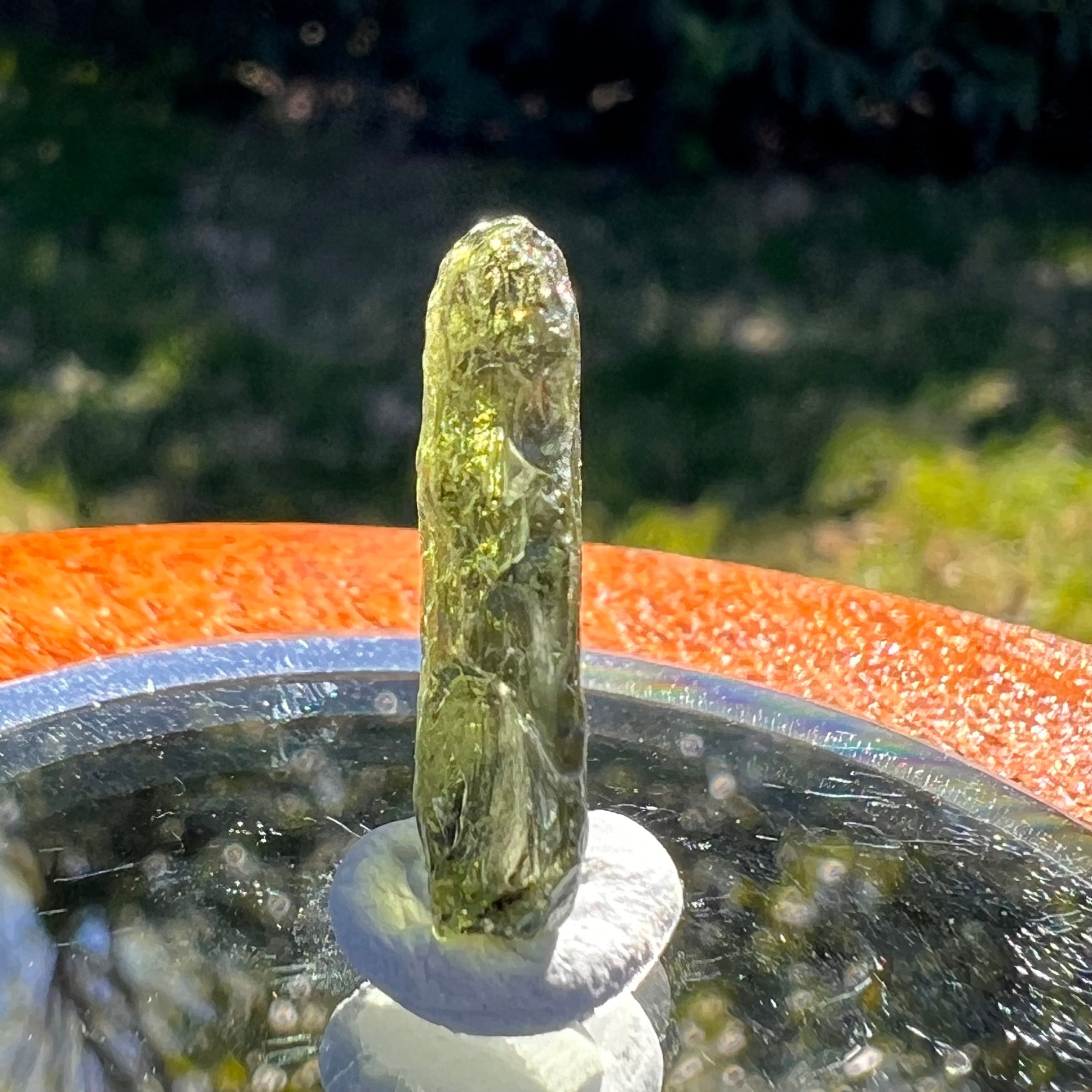 Moldavite 1.5 grams #1658-Moldavite Life