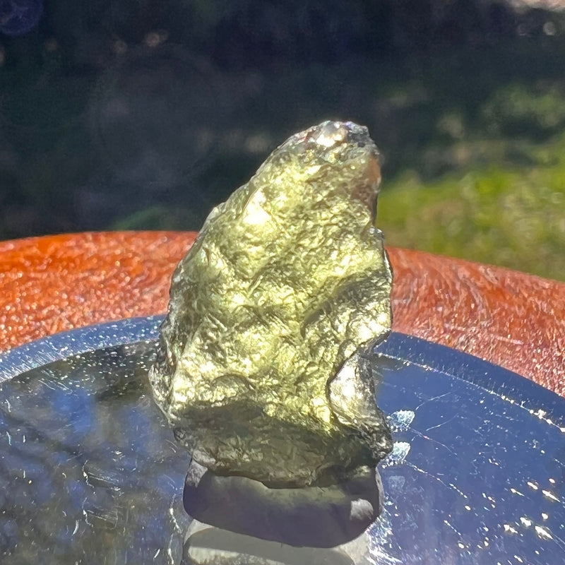 Moldavite 1.5 grams #1658-Moldavite Life