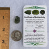 Moldavite 1.6 grams #1517-Moldavite Life