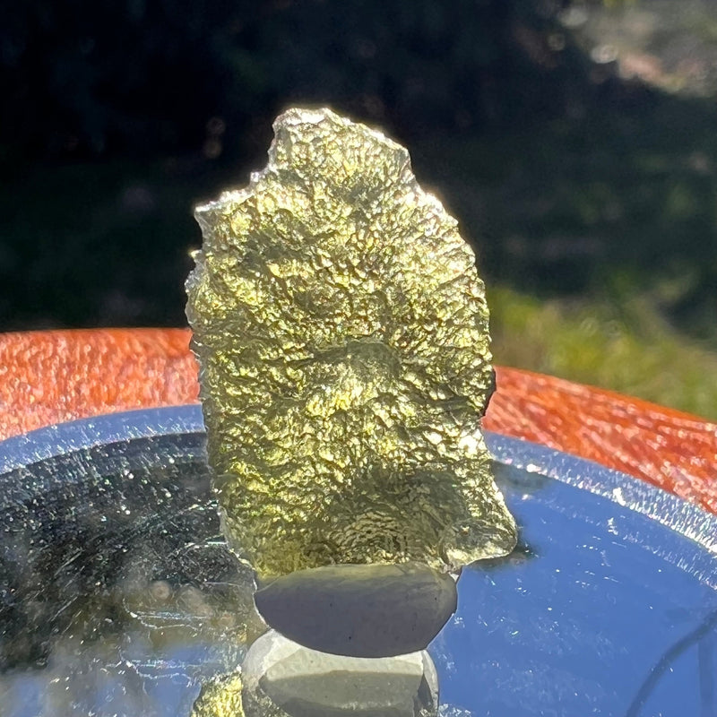 Moldavite 1.6 grams #1614-Moldavite Life