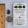 Moldavite 1.7 grams #1468-Moldavite Life