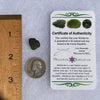 Moldavite 1.7 grams #1513-Moldavite Life