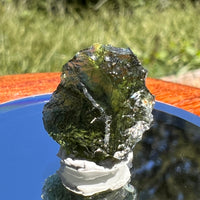 Moldavite 1.7 grams #1558-Moldavite Life
