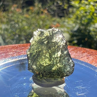 Moldavite 1.7 grams #1558-Moldavite Life