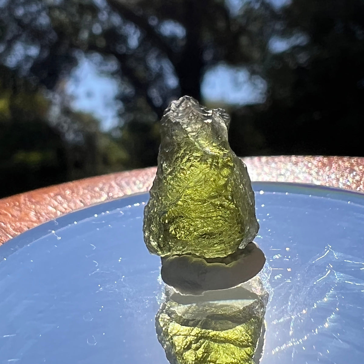 Moldavite 1.7 grams #1593-Moldavite Life