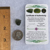 Moldavite 1.7 grams #1593-Moldavite Life
