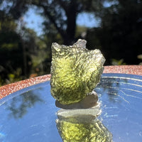 Moldavite 1.7 grams #1593-Moldavite Life